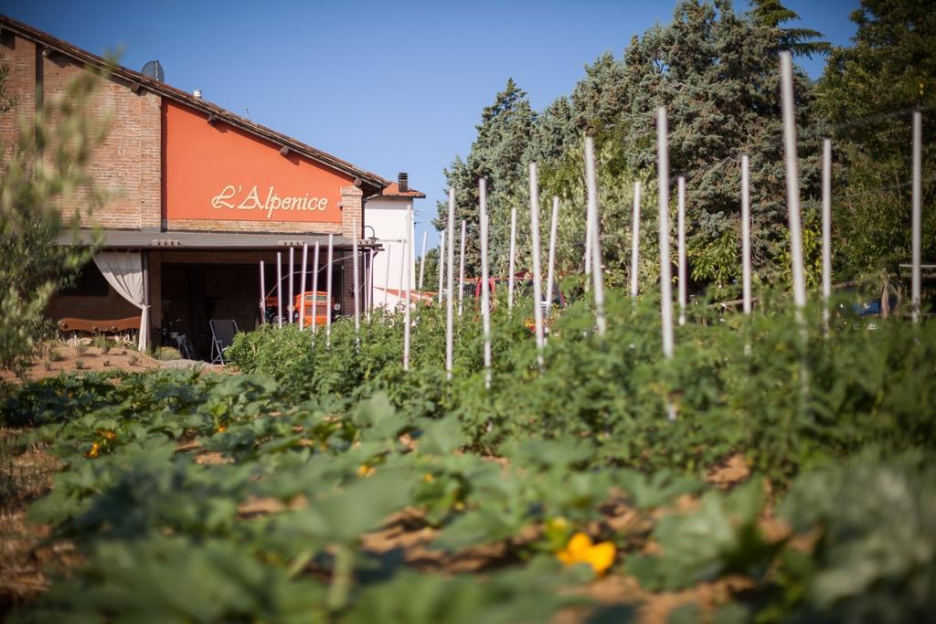 L'Alpenice Bioagriturismo Savignano sul Panaro Exterior foto