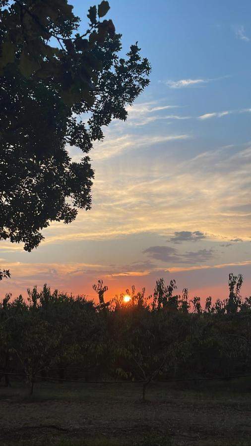 L'Alpenice Bioagriturismo Savignano sul Panaro Exterior foto