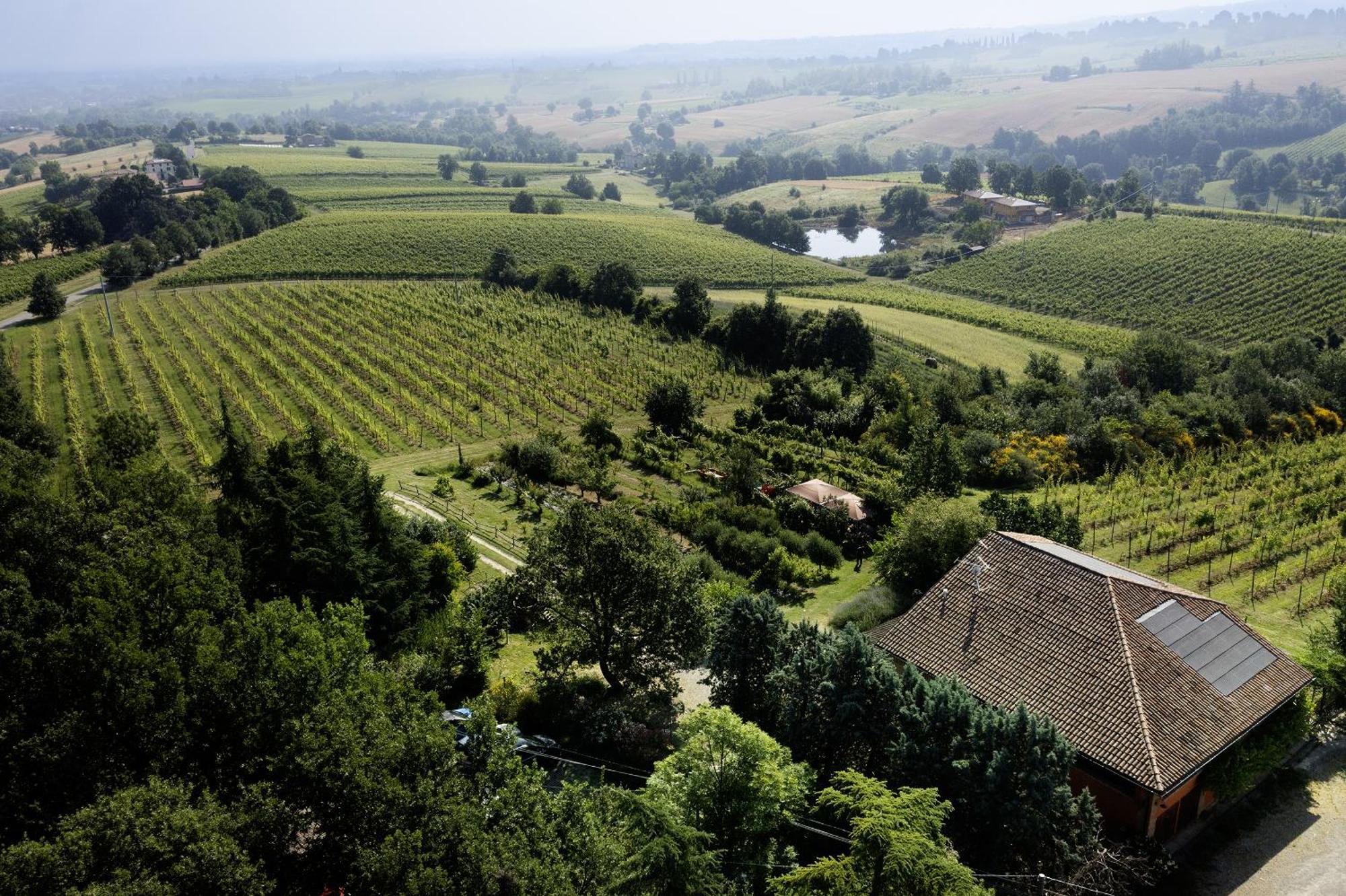 L'Alpenice Bioagriturismo Savignano sul Panaro Exterior foto