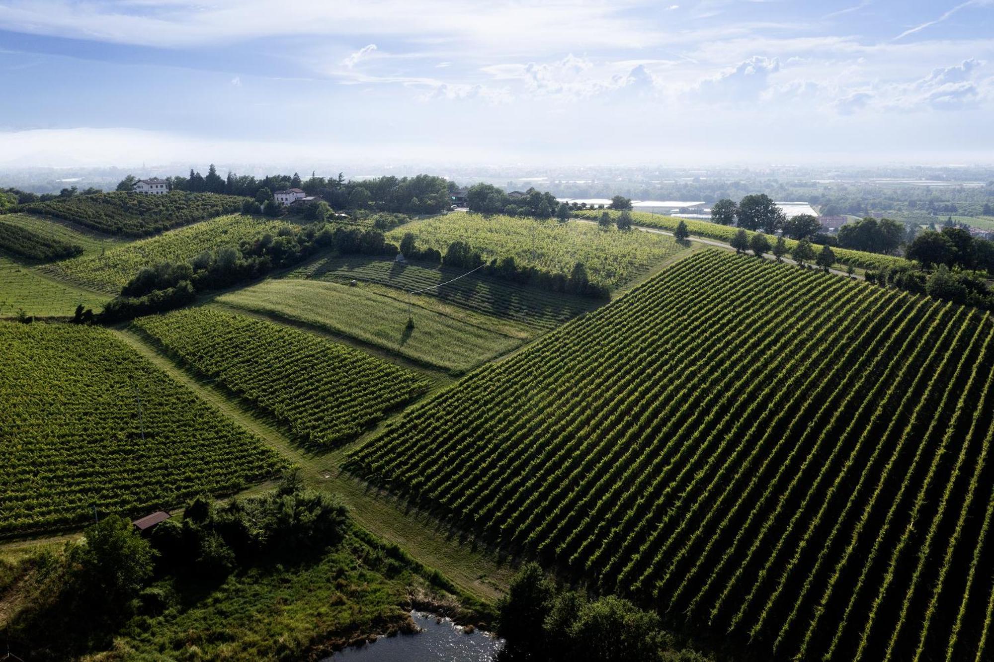 L'Alpenice Bioagriturismo Savignano sul Panaro Exterior foto