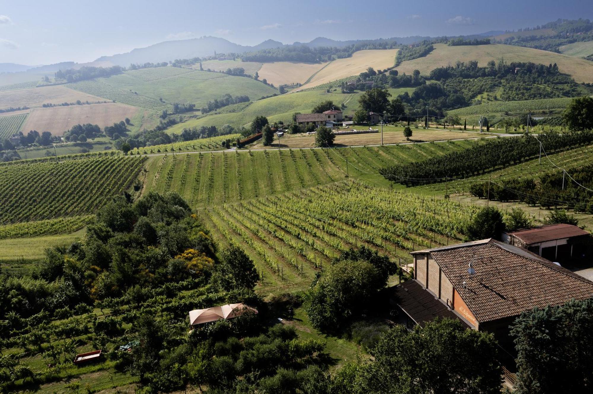 L'Alpenice Bioagriturismo Savignano sul Panaro Exterior foto