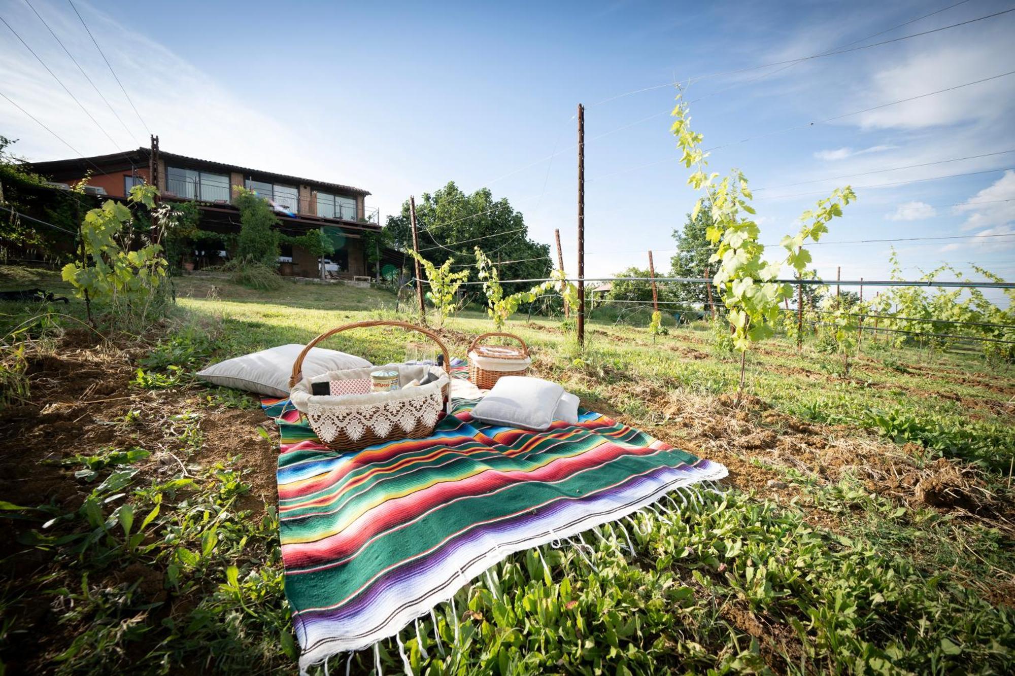 L'Alpenice Bioagriturismo Savignano sul Panaro Exterior foto
