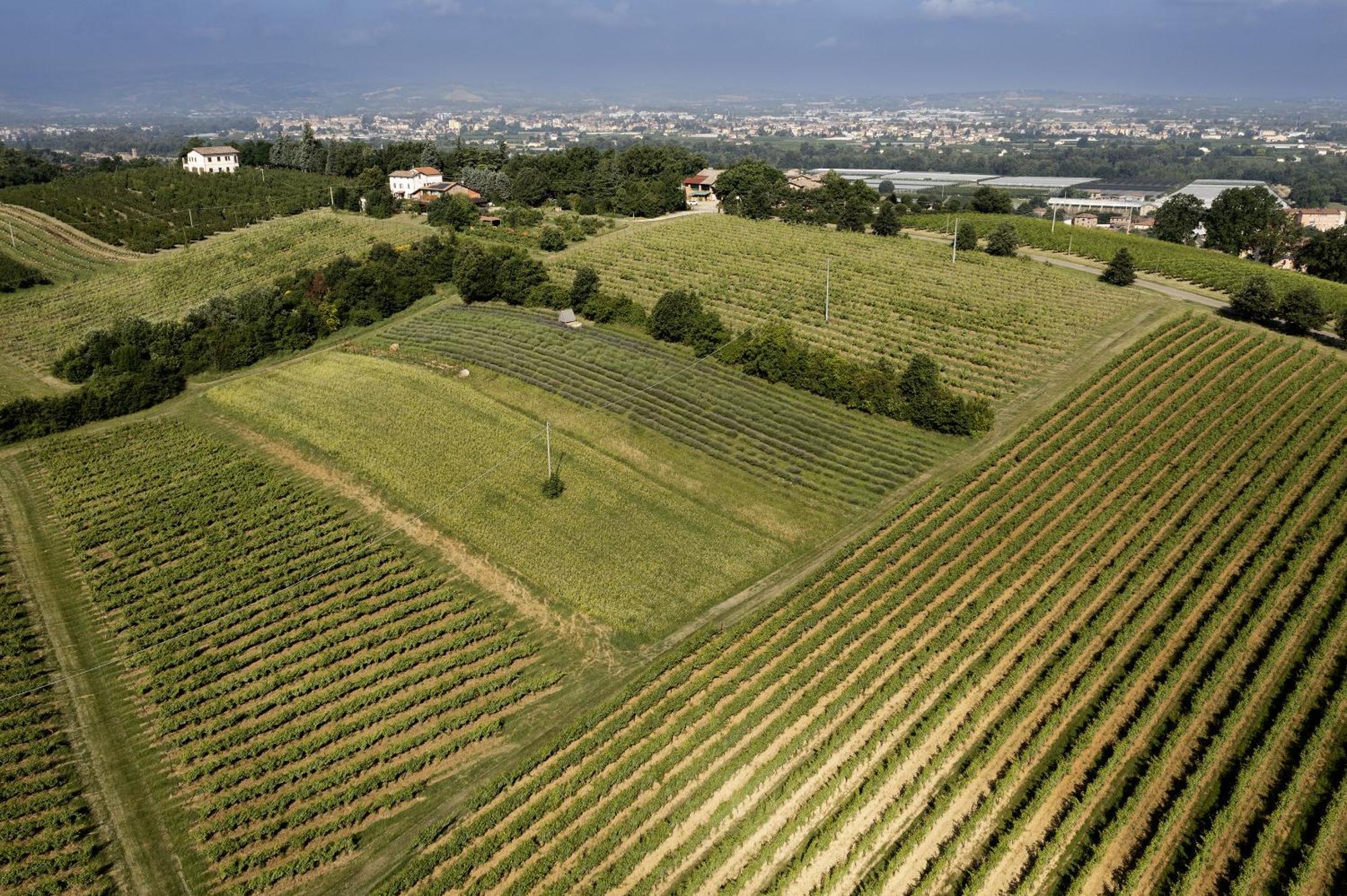 L'Alpenice Bioagriturismo Savignano sul Panaro Exterior foto