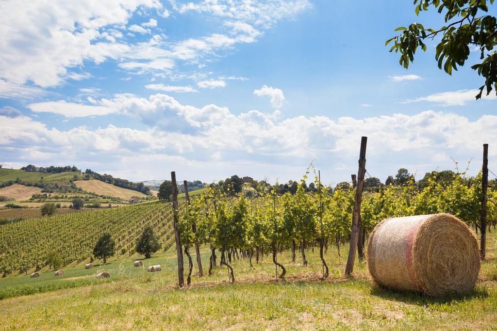 L'Alpenice Bioagriturismo Savignano sul Panaro Exterior foto